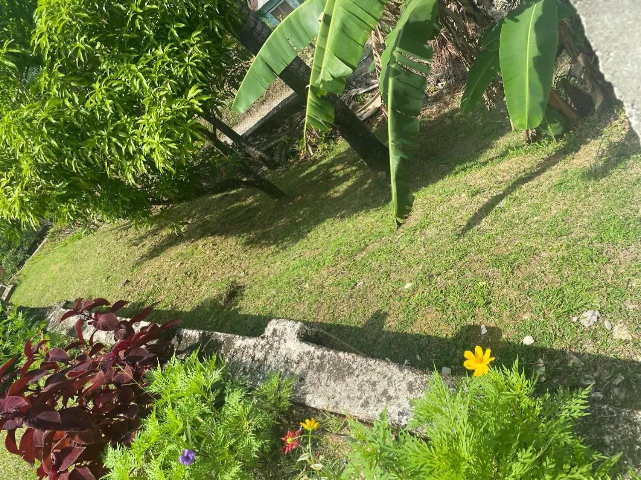 Guest house Angelaspalace Port Antonio