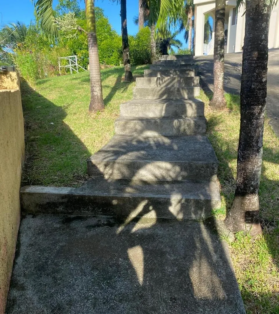Angelaspalace Port Antonio Guest house