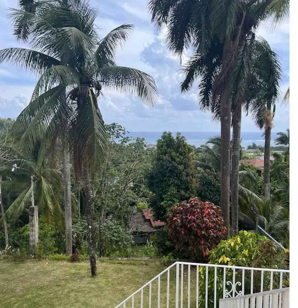 Angelaspalace Port Antonio 0*,